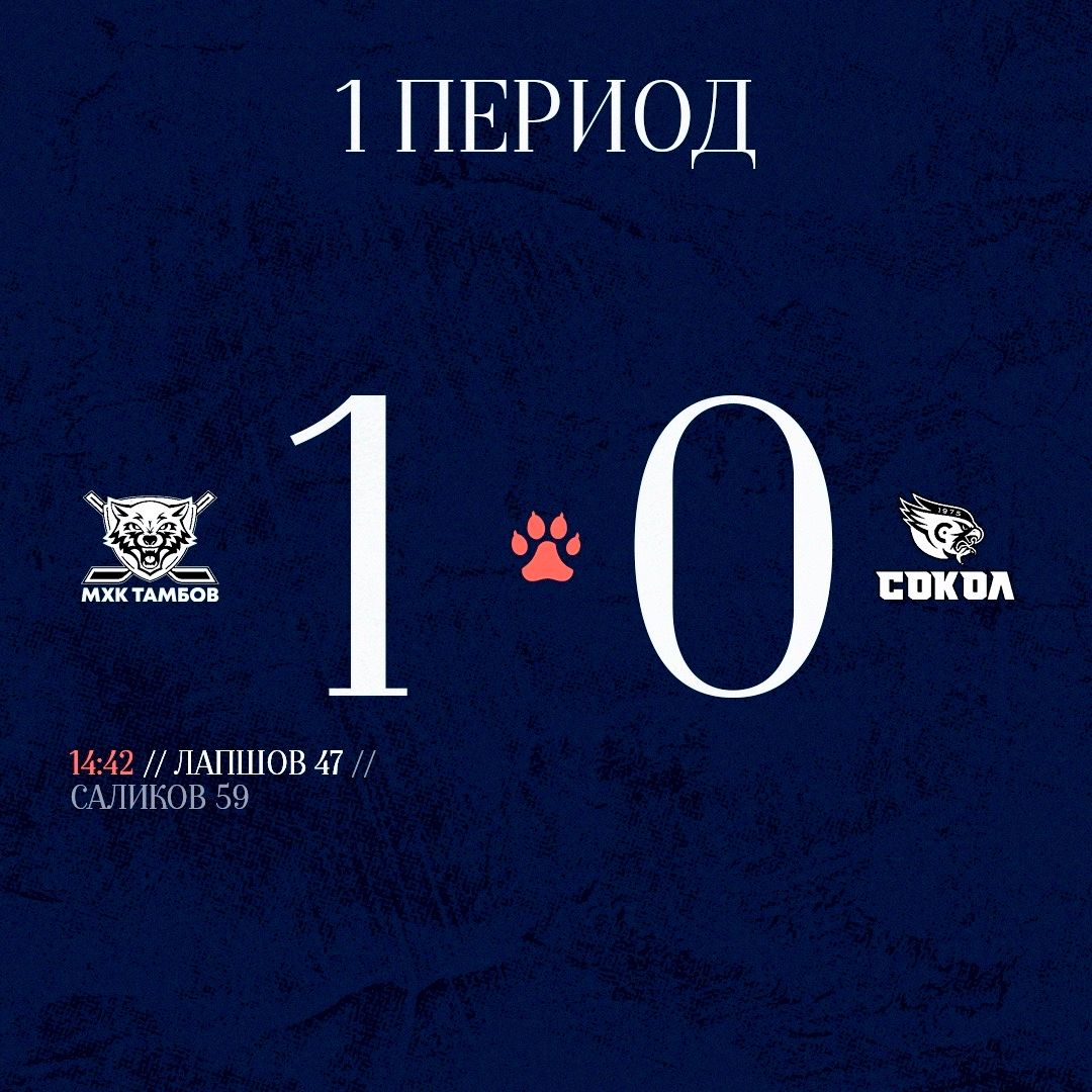 Изучаем статистику после первого периода: